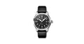 IWC Mark XX